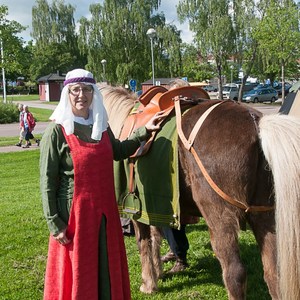 Husfruns häst i Sunne